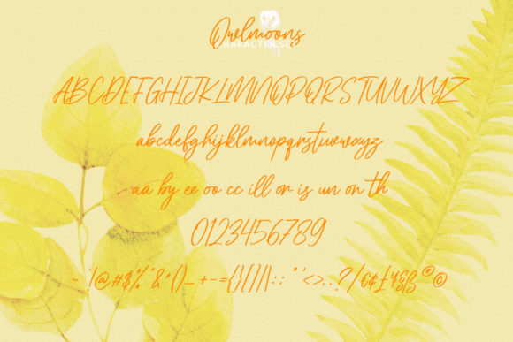 Owlmoons Font Poster 8