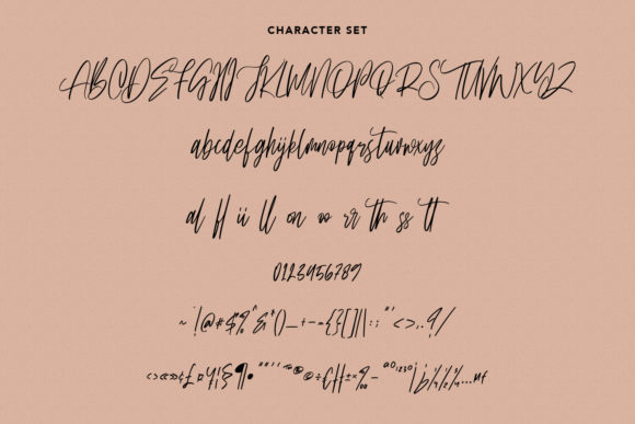 Ownttys Font Poster 9