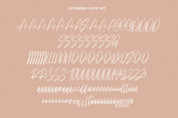 Ownttys Font Poster 10