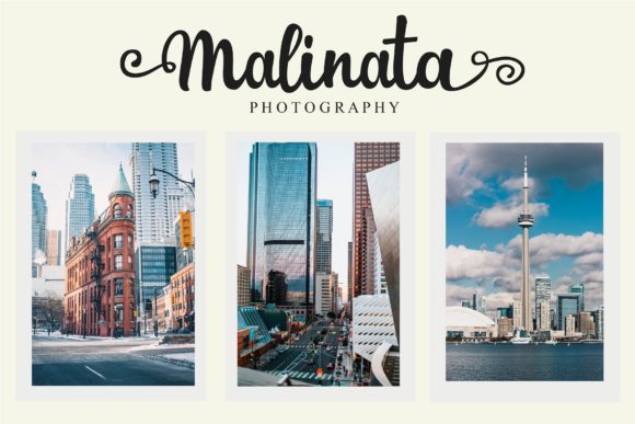 Palina Font Poster 3