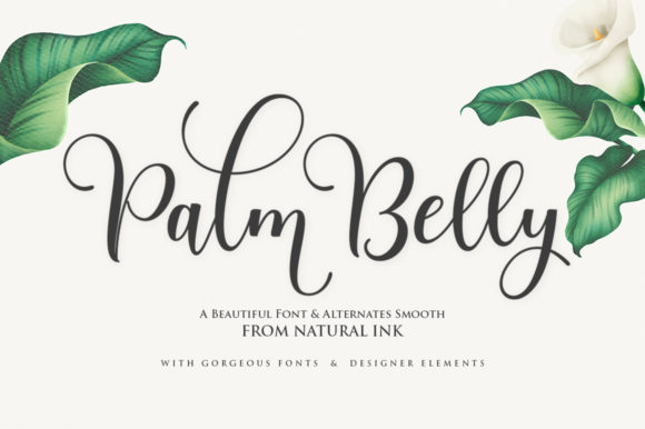 Palm Belly Font Poster 1