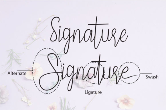 Pamella Font Poster 2