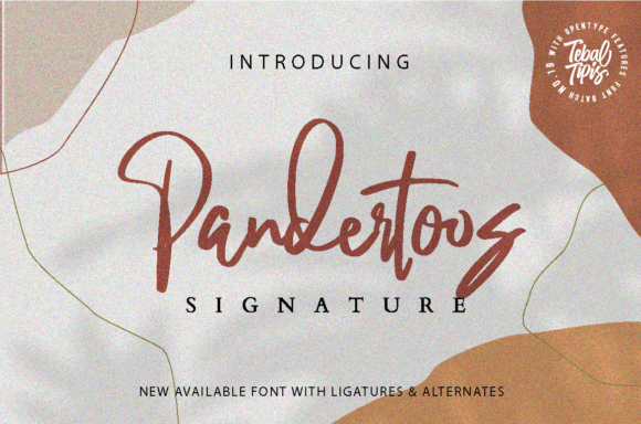 Pandertoos Font Poster 1