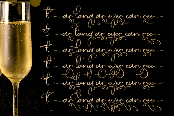 Party Lover Font Poster 5