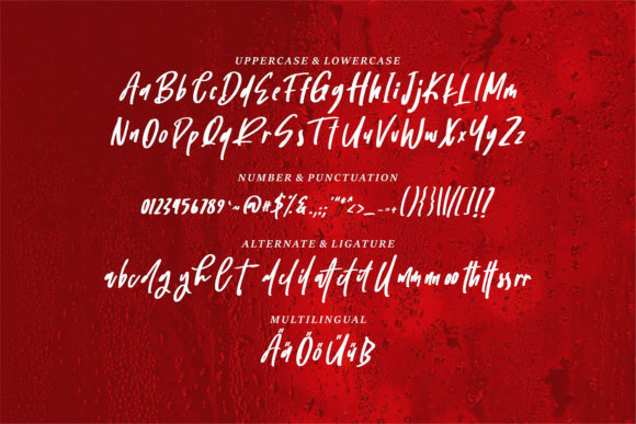 Patila Font Poster 6