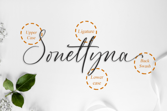 Pauletta Font Poster 9