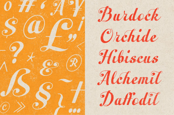 Peacher Font Poster 7