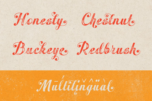 Peacher Font Poster 10