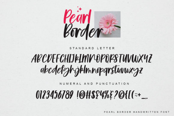 Pearl Border Font Poster 8