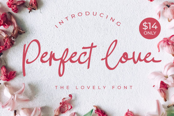 Perfect Love Font Poster 1