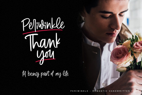 Periwinkle Font Poster 12