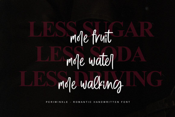 Periwinkle Font Poster 3