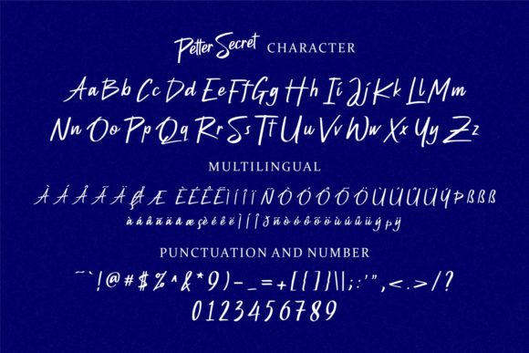 Petter Secret Font Poster 9