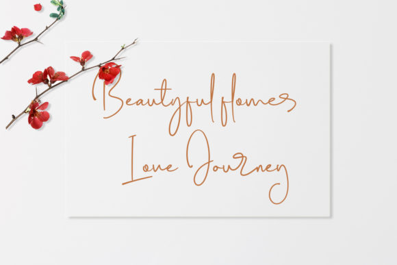 Photography Signature Font Poster 6