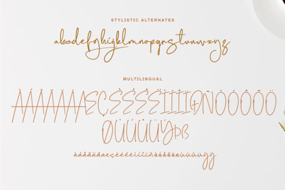 Photography Signature Font Poster 7