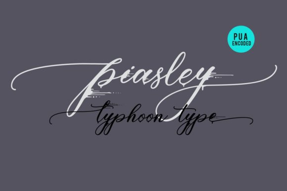 Piasley Font Poster 2