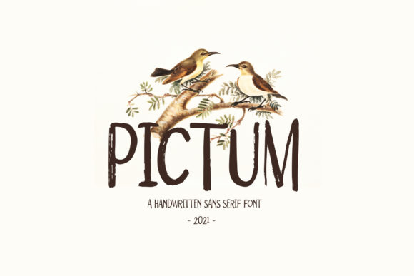Pictum Font Poster 1