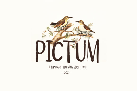 Pictum Font