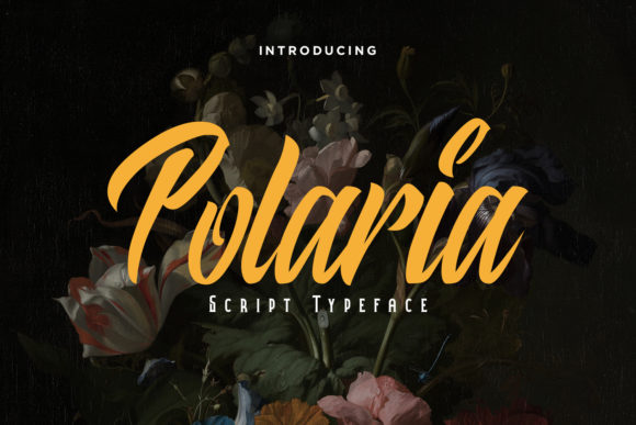 Polaria Font Poster 1