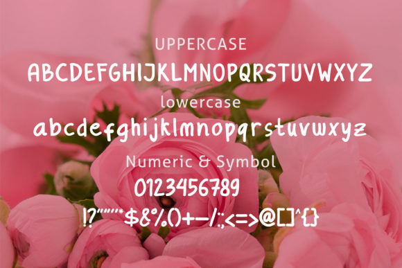 Policy Love Font Poster 5