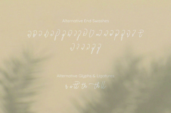 Popillons Font Poster 11