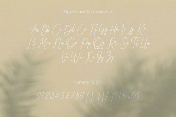 Popillons Font Poster 9