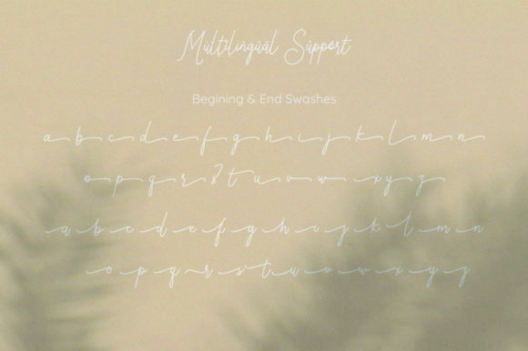 Popillons Font Poster 10