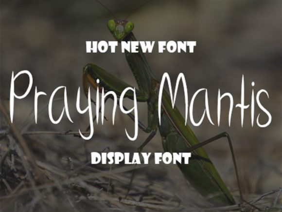 Praying Mantis Font Poster 1