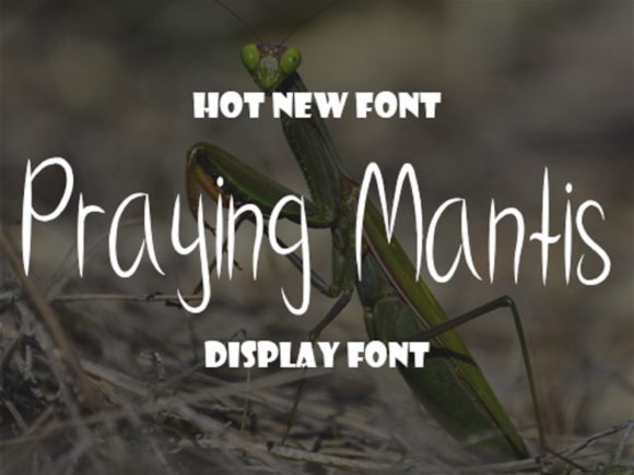 Praying Mantis Font