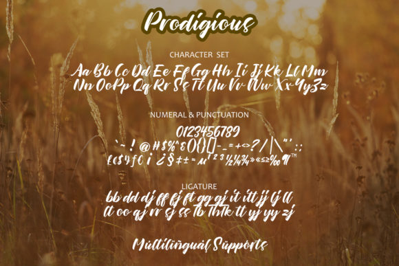 Prodigious Font Poster 10