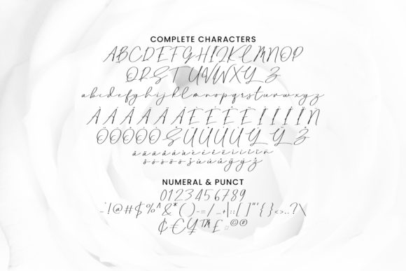 Pubrih Font Poster 4