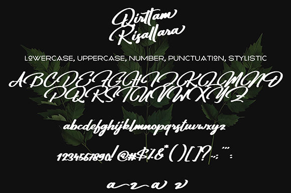 Qirttam Risllara Font Poster 9