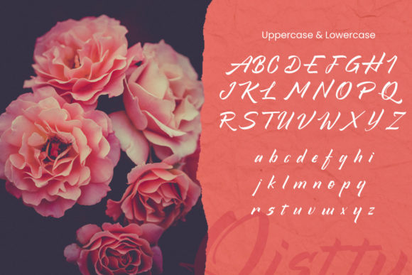 Qistty Font Poster 6
