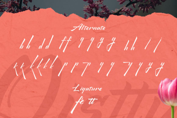 Qistty Font Poster 8