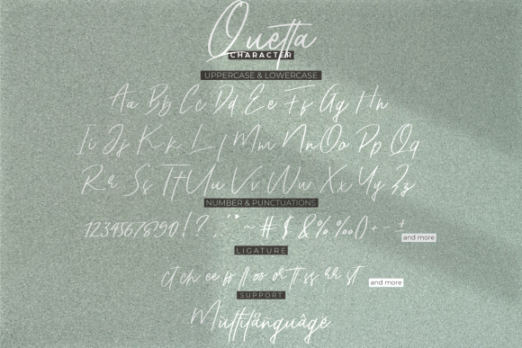 Quetta Signature Font Poster 6