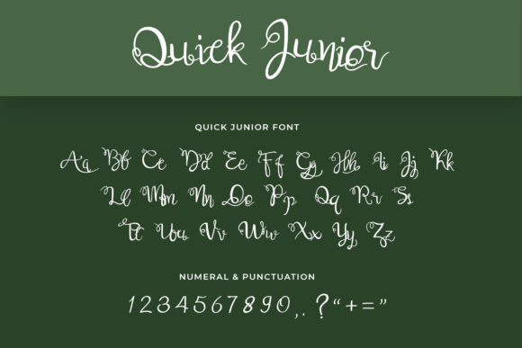 Quick Junior Font Poster 5