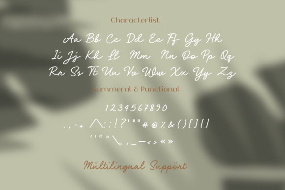 Quilla Rachel Font Poster 7