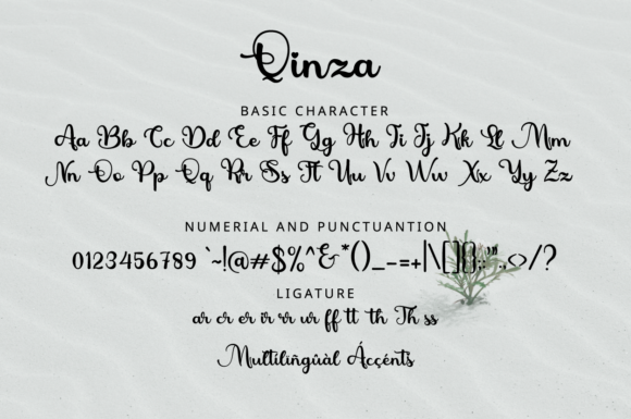 Quinza Font Poster 9