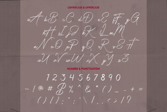 Radiantly Signature Font Poster 11