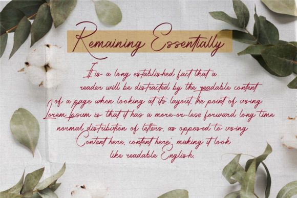 Radiantly Signature Font Poster 5