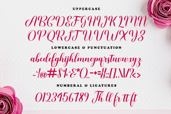 Rafata Font Poster 5