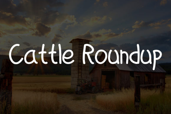 Ranch Farm Font Poster 3