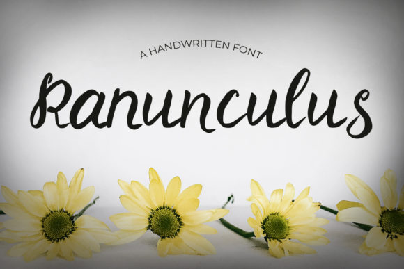 Ranunculus Font Poster 1