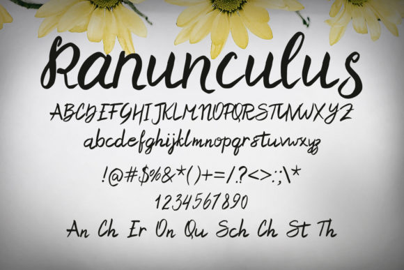 Ranunculus Font Poster 2