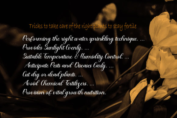 Ratgohe Font Poster 9