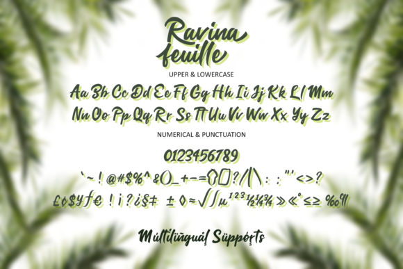 Ravina Feuille Font Poster 7