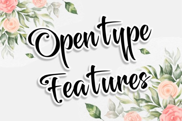 Reality Brush Font Poster 4