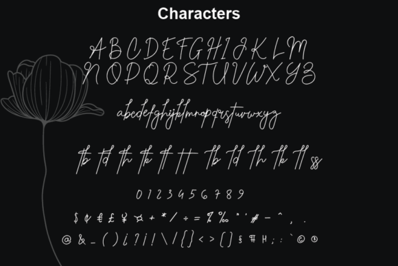 Reautiful Storie Font Poster 2