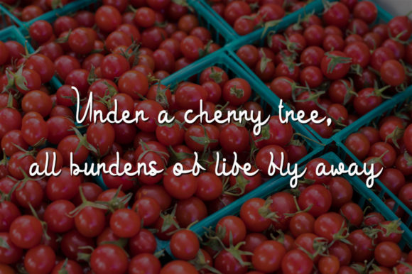 Red Cherry Font Poster 2