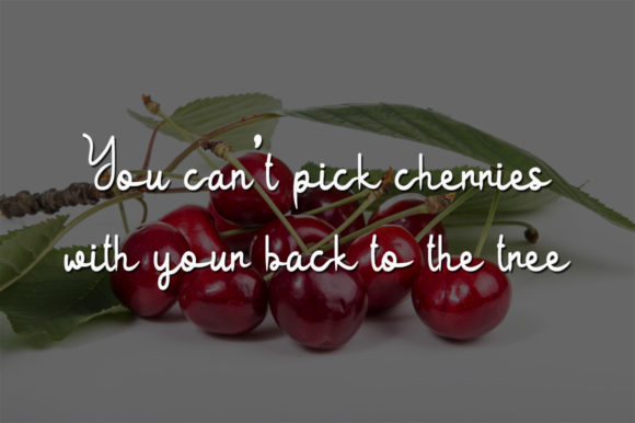 Red Cherry Font Poster 3
